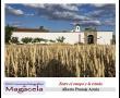 Entre el campo y la ermita, de Alberto Pantoja Acuña